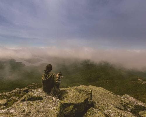 Gated Township Row House