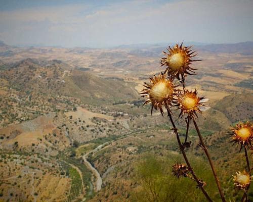 Backwater Cottage Villa