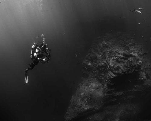 Penthouse with Terrace Garden